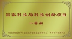 國家科技局科技創(chuàng)新項(xiàng)目一等獎(jiǎng)